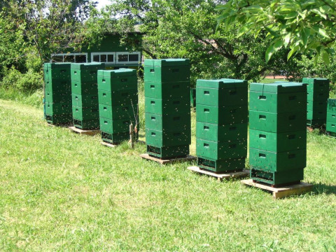 Bienenvölker in der Tracht